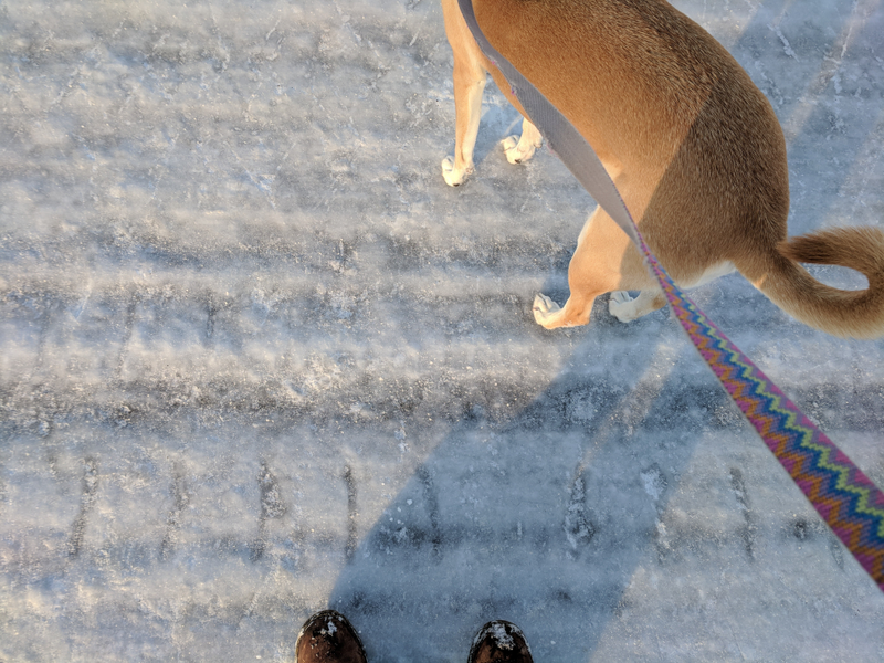 Gotta scoot, or you’ll slip.